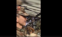 军视网视频在线观看,精彩内容在线观看，尽享军旅风采