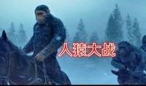 凯撒最新一话爆料,神秘事件背后隐藏的惊天秘密