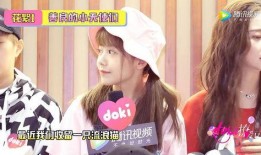 小七吃不停爆料视频,揭秘美食达人疯狂尝鲜之旅