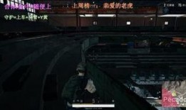 小智爆料全民直播视频,全民直播幕后故事大曝光