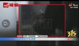 三帮视频在线观看,在线观看，畅享精彩瞬间