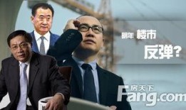 一哥们视频爆料房地产大佬,一哥们视频爆料背后的真相