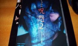 咒怨在线观看完整版,揭秘恐怖之源，惊悚之夜全程揭秘