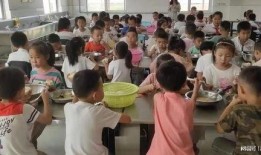 汊河小学最新爆料消息,揭秘校园生活精彩瞬间