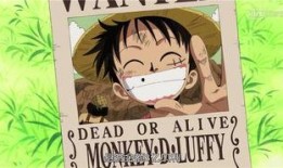 路飞悬赏爆料视频大全最新,揭秘最新悬赏金排行与冒险历程