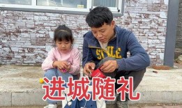 宝宝进城在线观看,萌娃成长记