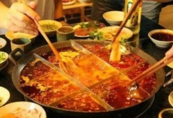 火锅油回收爆料视频大全,爆料视频大全深度解析