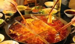 火锅油回收爆料视频大全,爆料视频大全深度解析