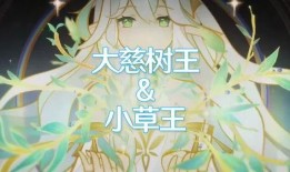 大慈树王爆料视频,揭秘神秘爆料视频背后的惊人真相