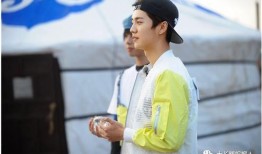 卓伟曾经爆料过鹿晗吗视频,卓伟曾爆料鹿晗？揭秘娱乐圈背后的真相