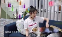 爆料娱乐圈张铭恩,揭秘明星背后的故事