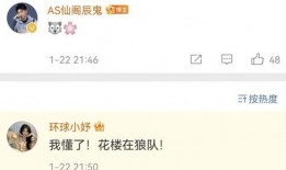 狼队老林爆料视频大全,揭秘球场内外那些不为人知的瞬间