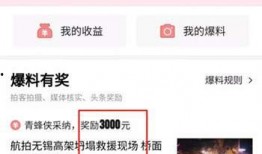 黄岛今日头条爆料,揭秘最新爆料背后的真相