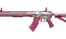 千灵华绽m4爆料视频,揭秘全新游戏体验的神秘面纱