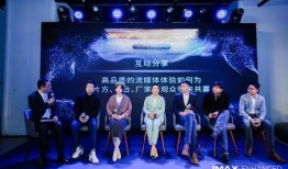 武林大会爆料新闻报道视频,幕后风云与精彩瞬间