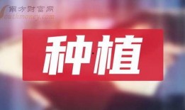 今生最新爆料新闻报道,今生最新爆料，震惊娱乐圈大事件！