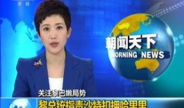 沙特媒体爆料视频,揭秘神秘事件内幕