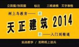 牛蛙后厨爆料视频教程,跟随视频教程学做正宗牛蛙佳肴