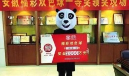 合肥刘先生最新爆料,揭秘背后惊人真相！