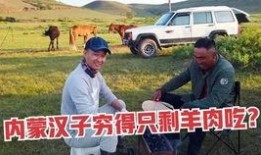 内蒙古文体在线观看,畅享草原文化盛宴