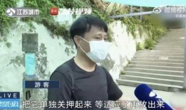 网红霸凌吃瓜男是谁啊,吃瓜群众热议的“霸凌男”究竟是谁？