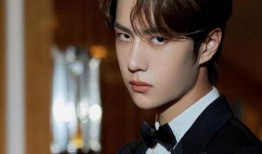 圈内人士爆料赵丽颖王一博