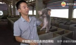 聪慧吃瓜视频全网观看免费,揭秘娱乐圈幕后故事