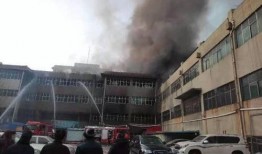 河北邢台大街爆料事件视频,真相与争议交织的街头风云