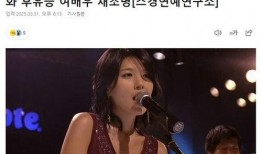 南韩娱乐圈爆料事件真相,真相与内幕大曝光